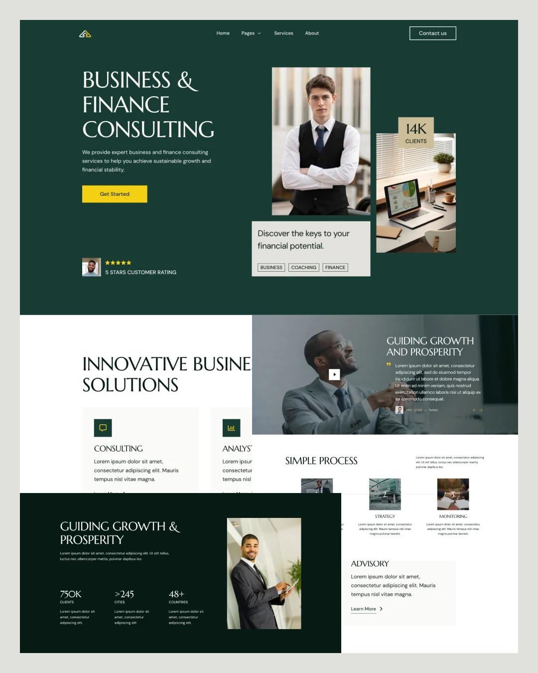 bizzy-finance-consulting-elementor-template-kitpixel