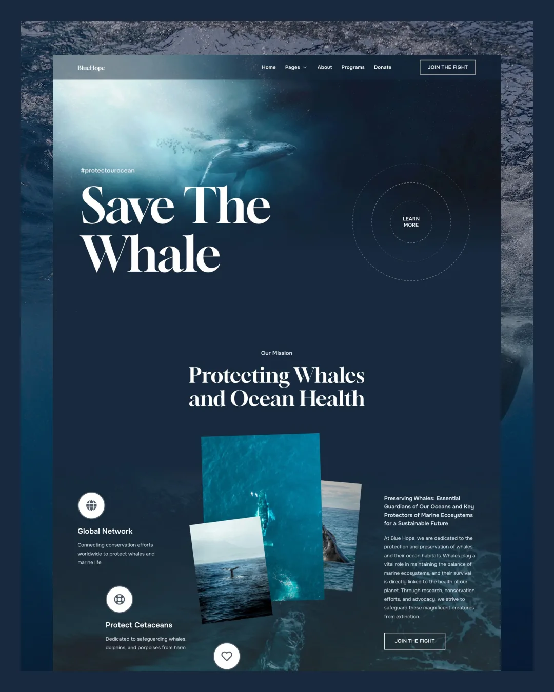 bluehope-whale-marine-conservation-elementor-kitpixel