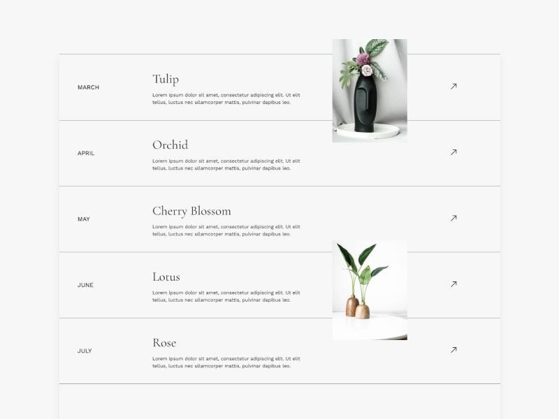 portfolio-elementor-template